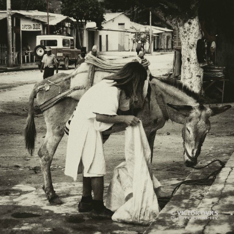 Joven arhuaco (Pueblo Bello) 